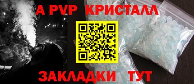 спайс Кингисепп