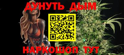 спайс Кингисепп