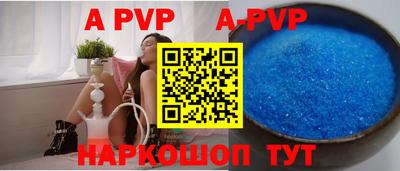 спайс Кингисепп
