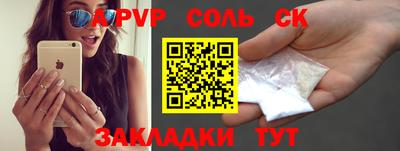 спайс Кингисепп