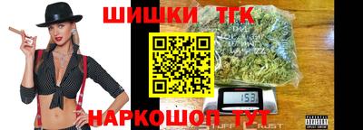 спайс Кингисепп
