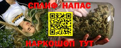 спайс Кингисепп