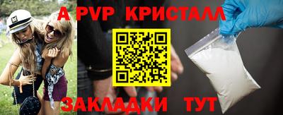 спайс Кингисепп