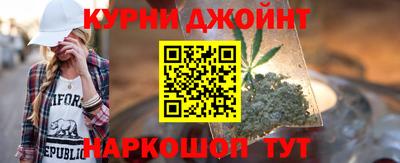 спайс Кингисепп