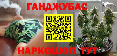 спайс Кингисепп