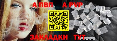 спайс Кингисепп