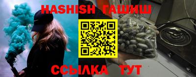спайс Кингисепп